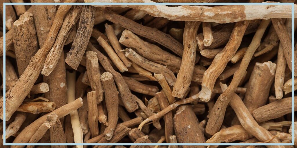 Ashwagandha Wiki: Benefits, Uses, Side Effects and Dosage