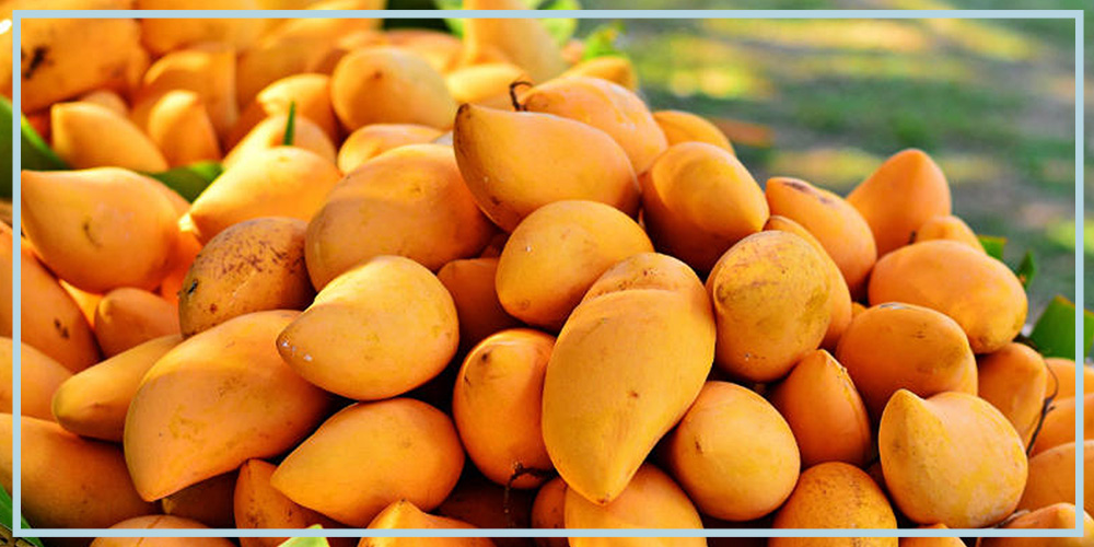 African Mango Wiki: Benefits, Uses, Side Effects and Dosage