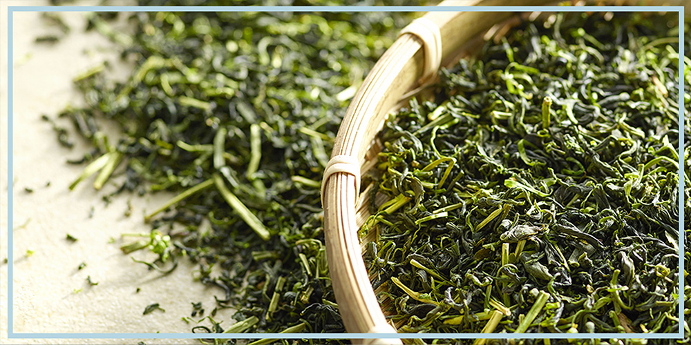 Green Tea as a supplement for weight loss and health benefits