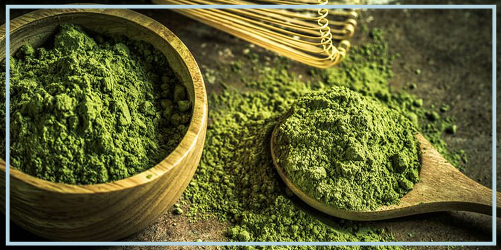 matcha green tea supplement powder