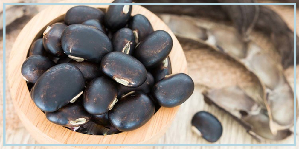 Mucuna pruriens supplement