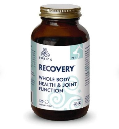 PURICA RECOVERY Review and Wiki